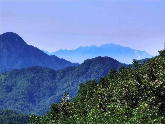 河南万家园集团重点工程巡礼一一“氧”在猿人山（之四）