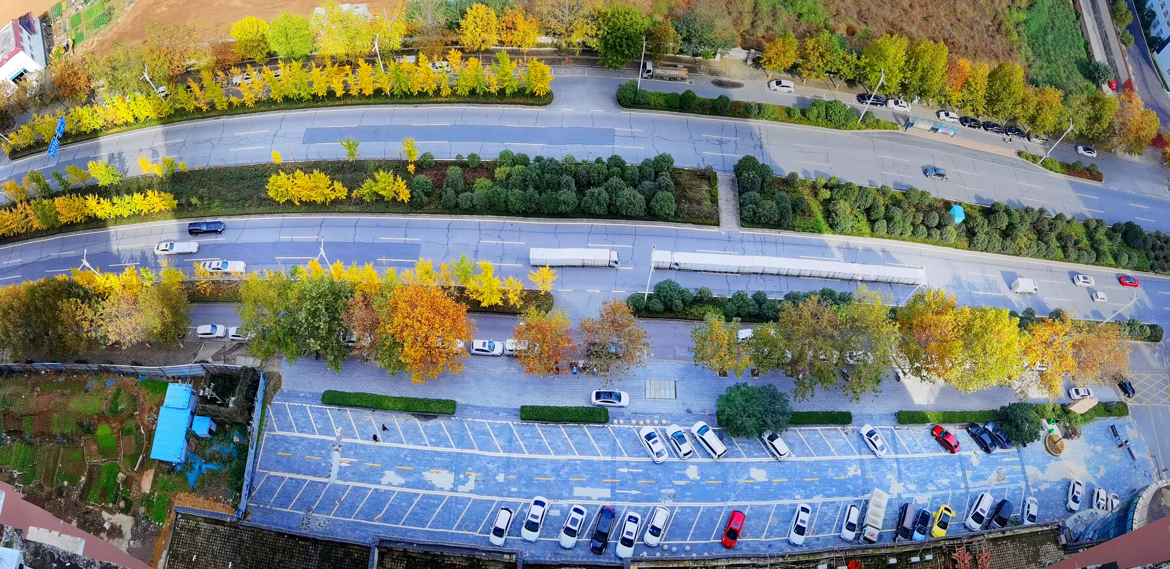 图说南阳 | 多彩南阳入画来